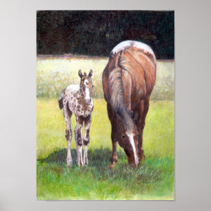 Pôster Égua do Appaloosa e retrato do potro