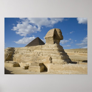 Pôster Egypt, Giza. The great Sphynx rises above the 2