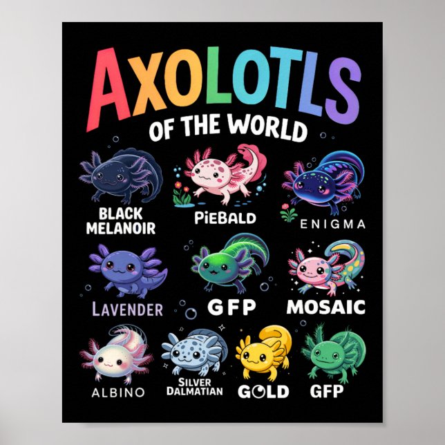Poster Eixolótois Bonitos Do Mundo Kawaii Axolotl (Frente)