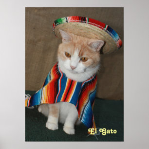 Pôster El Gato