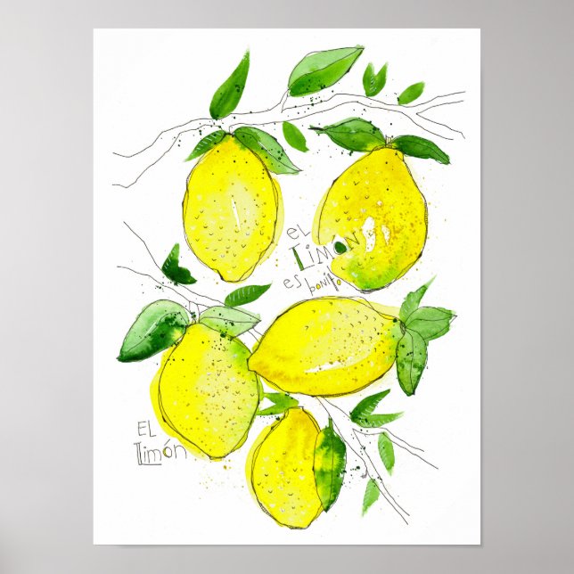 Poster El Limon (Frente)
