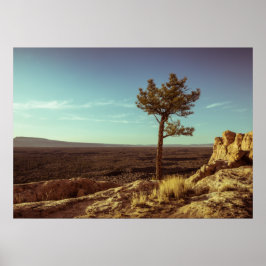 Poster El Malpais, Nova Paisagem do México