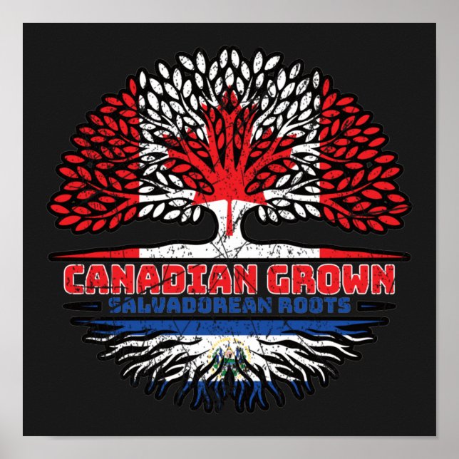 Poster El Salvador Salvadorean - Capa Salvadoriana (Frente)