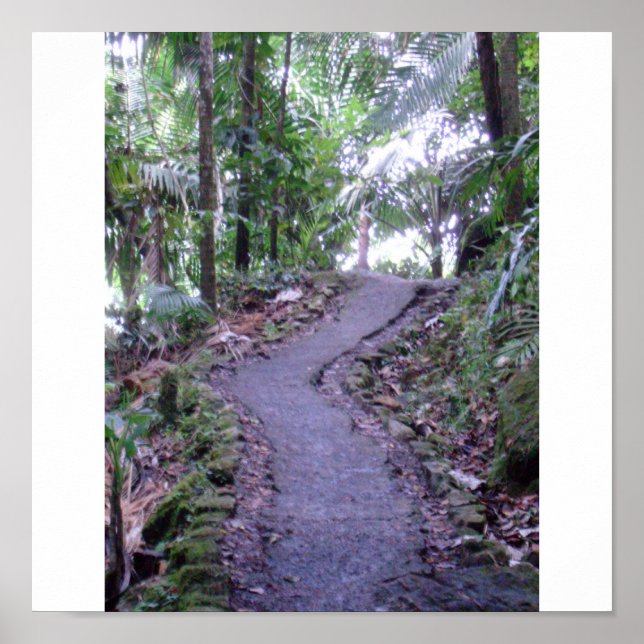 Poster El Yunque National Forest (Frente)
