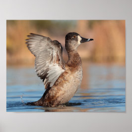 Poster Ela é uma Flapper