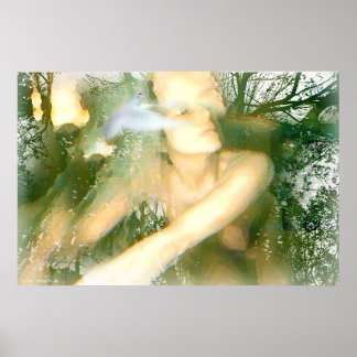 Pôster Ela Traz Paz por Gregory Gallo