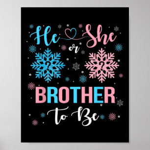 Poster Ele Ou Ela, Irmão, Para Ser Sexo De Neve De Natal