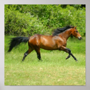 Pôster Electrichorse