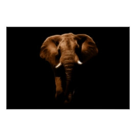 Pôster Elefante