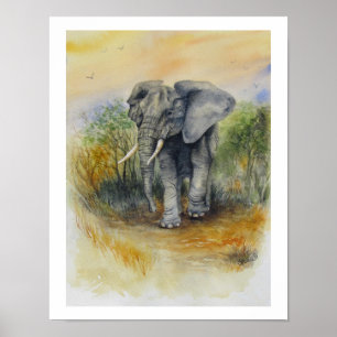 Poster Elefante Africano