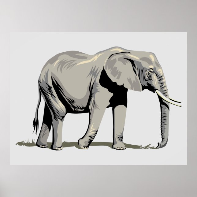 Poster Elefante Animado (Frente)