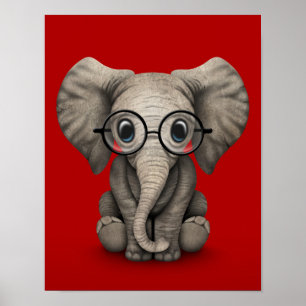 Poster Elefante-bebê bonito com óculos de leitura vermelh