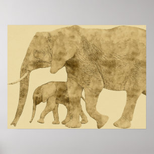 Poster Elefante bebê com a mãe