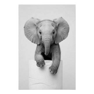 Pôster Elefante Bebê Minimalista Espiando por Cima do Pap