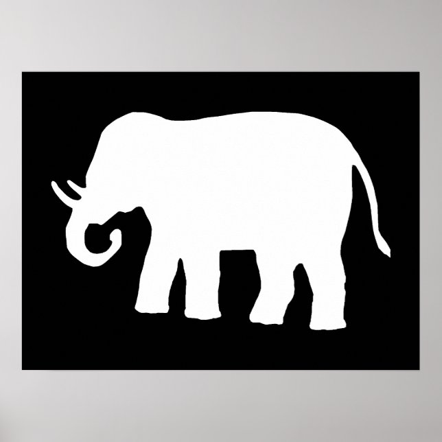 Pôster Elefante Branco (Frente)