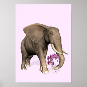 Pôster Elefante com orquídea cor-de-rosa