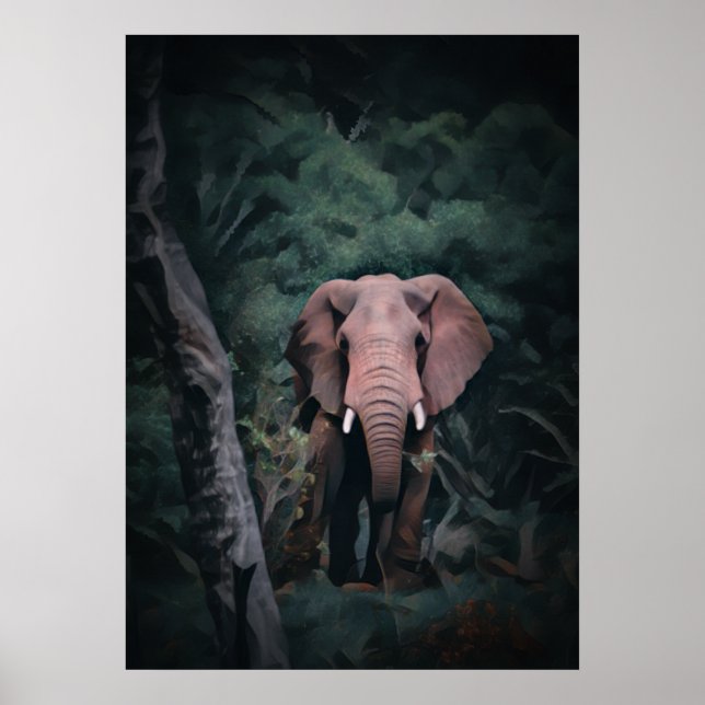Poster Elefante da Floresta Africana (Frente)