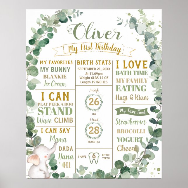 Poster Elefante de Verdura Aniversário Marco Estatísticas (Frente)