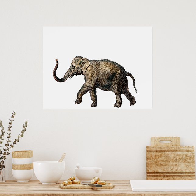 Poster Elefante de vida selvagem (Cozinha)