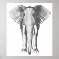 Elefante em preto e branco