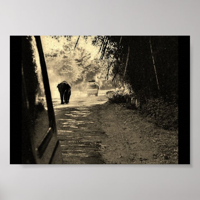 Poster Elefante em um Stroll (Frente)