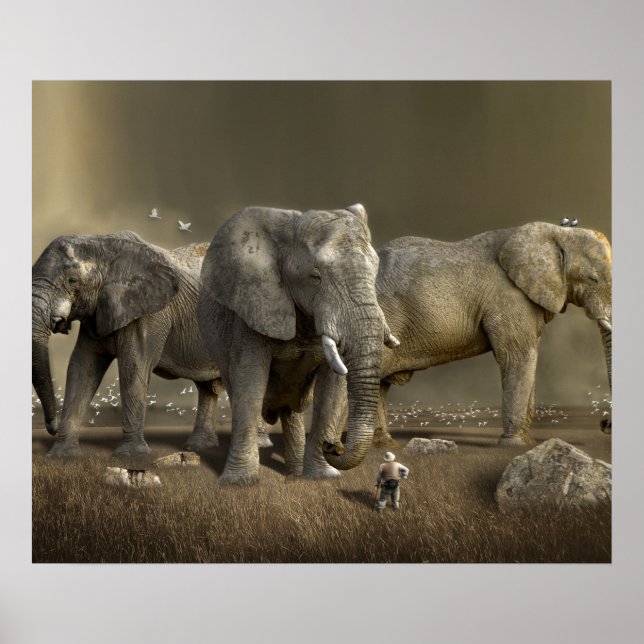 Poster Elefante Hunter no Safari (Frente)