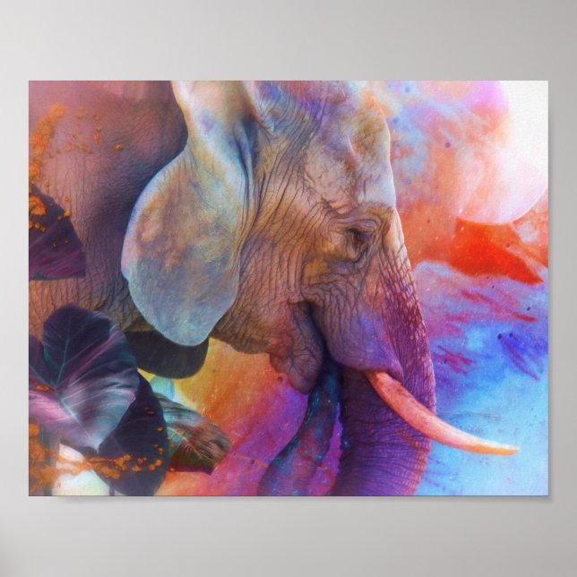 POSTER ELEFANTE LEMBRA DE ÁGUAS SAGRADAS (Frente)