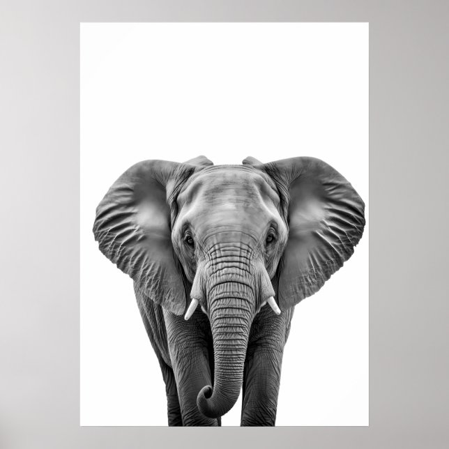 Poster Elefante preto branco moderno (Frente)