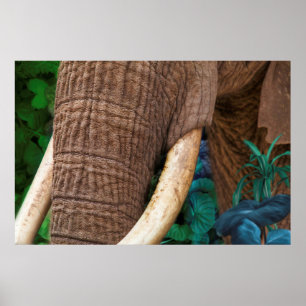 Poster Elefante Tenda Meu Jardim