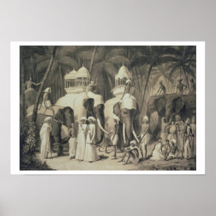 Pôster Elefantes de Raja de Travandrum, 'da viagem