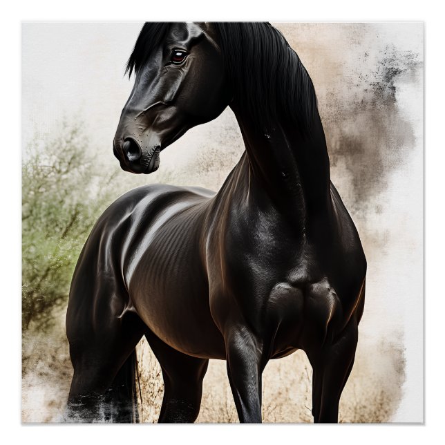 Pôster Élégance Ébène (Frente)