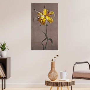 Poster Elegância do eterno: Lily Japonesa