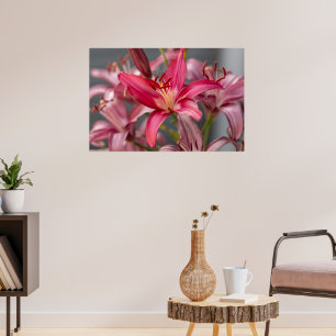 Poster Elegância Escamoteada: Foto Rosa Asiática Flor