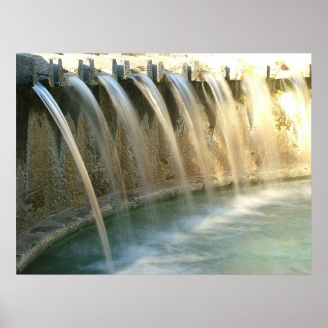 Pôster Elegância II (Frente)