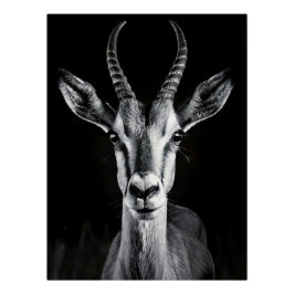 Pôster Elegant Black & White Gazelle Fine Art Photo
