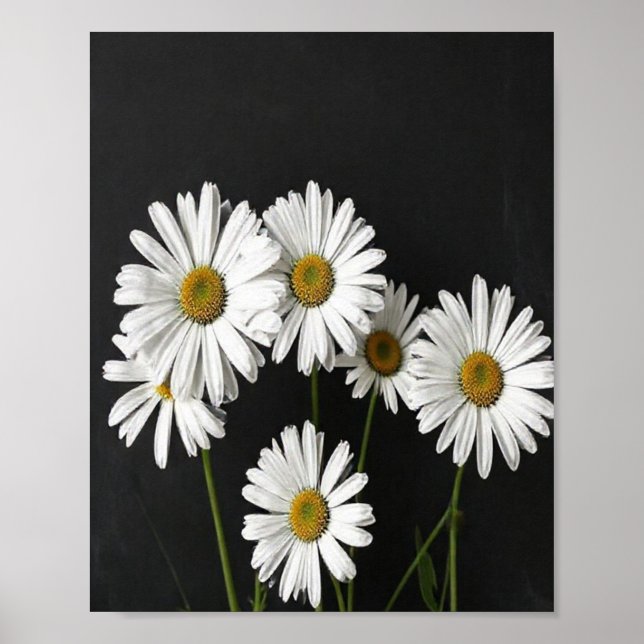 Poster Elegant Botanical Still Life of Radiant White Oxey (Frente)