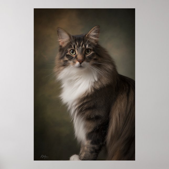 Poster Elegant Cat Studio Portrait (Frente)