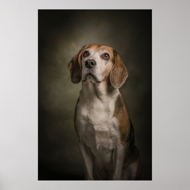 Poster Elegant Dog Silhouette (Frente)