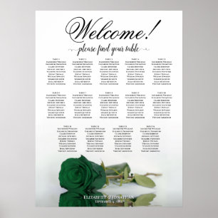 Poster Elegante 14 Mesa Verde Emerald