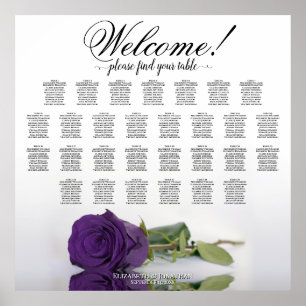 Poster Elegante 29 Gráfico de Assentos Reais de Rosa Roxo