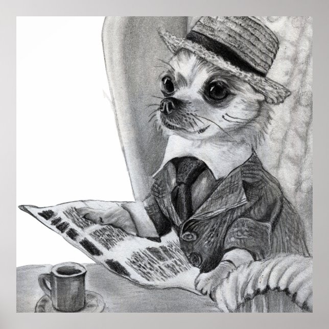 Poster Elegante chihuahua lendo jornal (Frente)