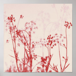 Poster Elegante Coral Red Floral Abstrato