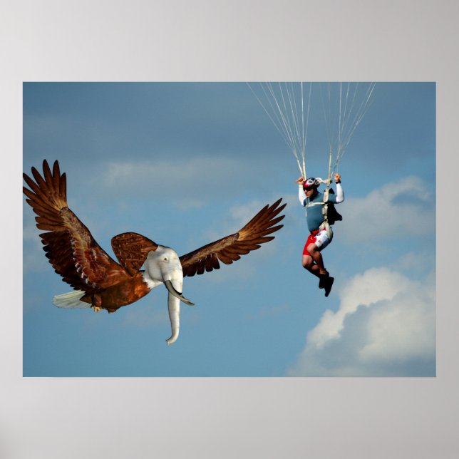 Pôster Elegante Elefante Eagle (Frente)