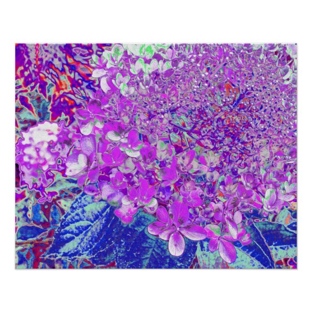 Pôster Elegante Hortênsia Limelight Roxa e Azul (Frente)