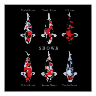 Pôster Elegante Koi Fish Poster - Eterno e Deco Artístico