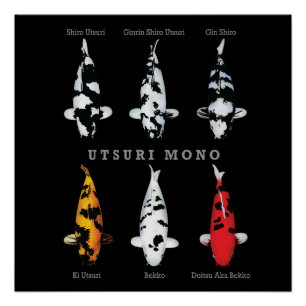 Pôster Elegante Koi Fish Poster - Eterno e Deco Artístico