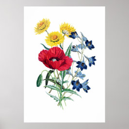Poster Elegante Moderno Vintage Wildflower Poppy Daisy