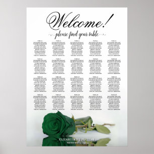 Poster Elegante Quadro de Assentos de Mesa Rosa Verde Esm