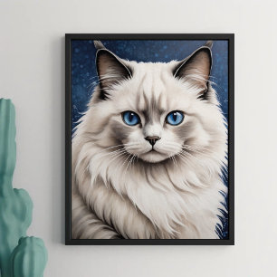 Poster Elegante Ragdoll Gato Retrato Trabalho de arte Azu