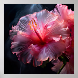 Poster Elegante rosa Hibiscus